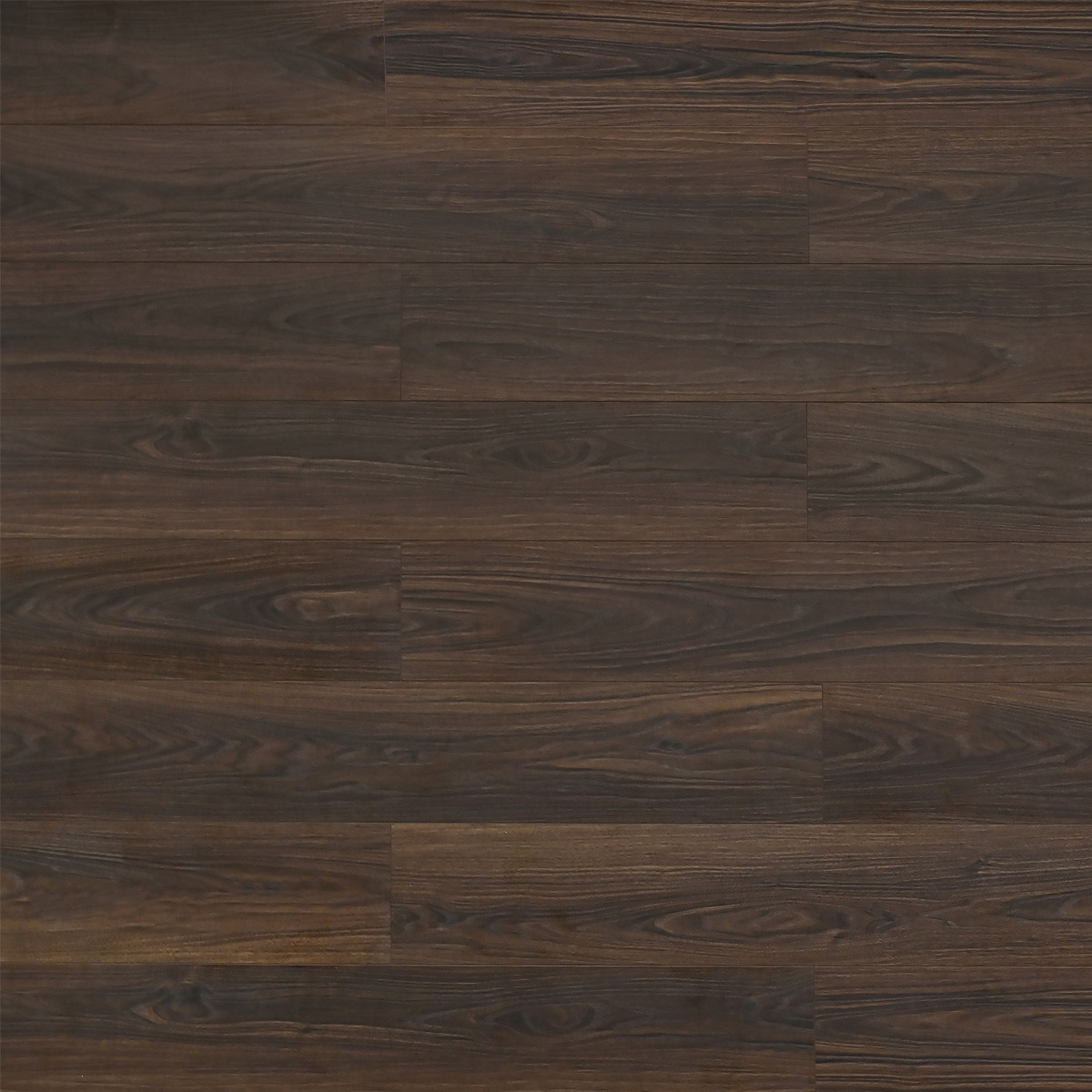 Toucan: TF6601 Laminate- Mesilla