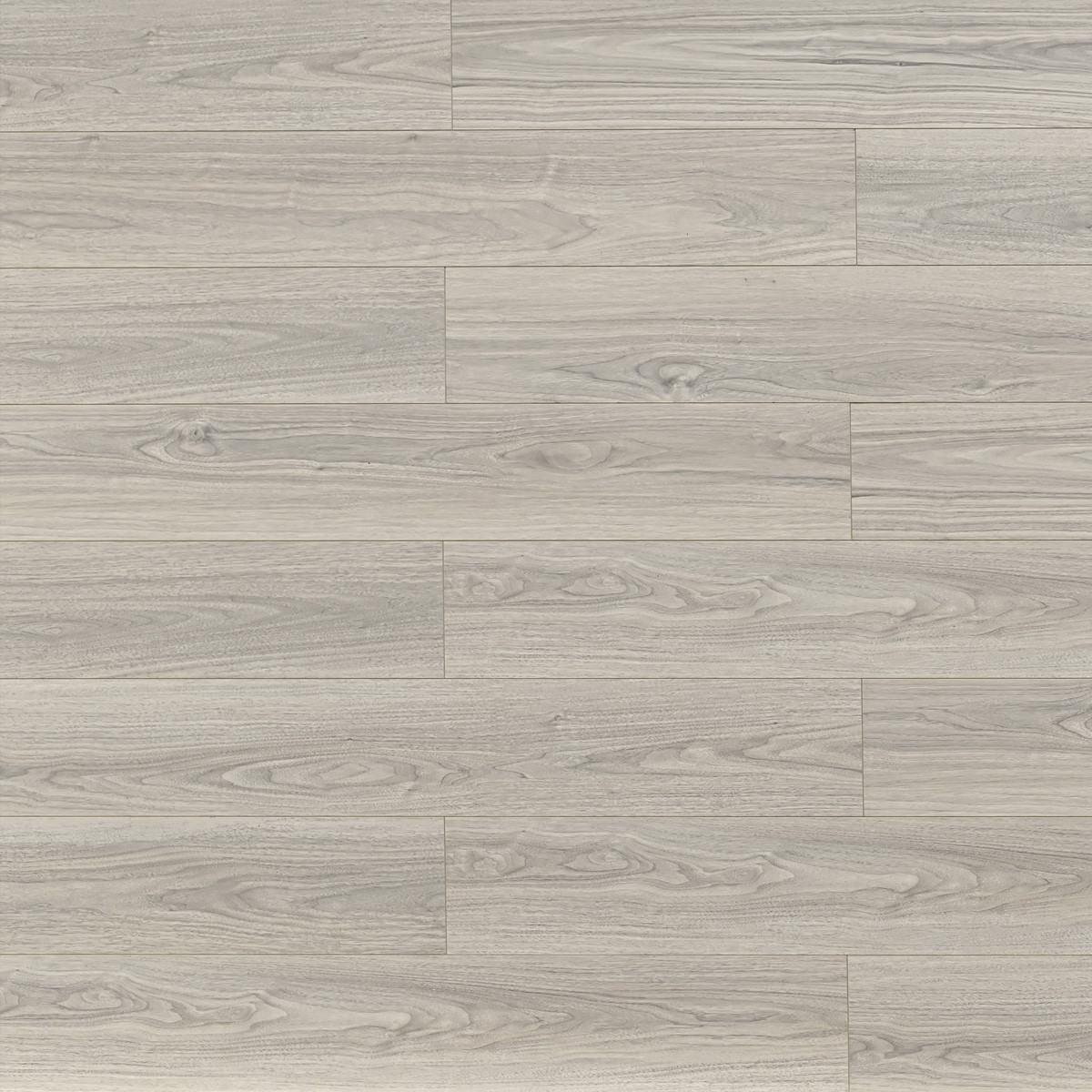 Toucan: TF6604 Laminate- Roswell