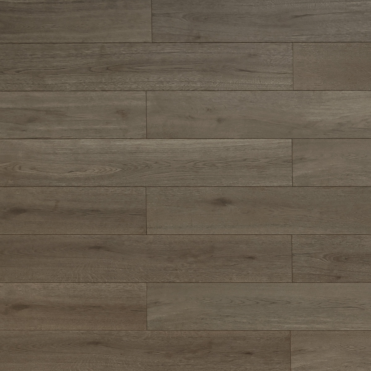 Toucan: TF6609 Laminate- Reserve