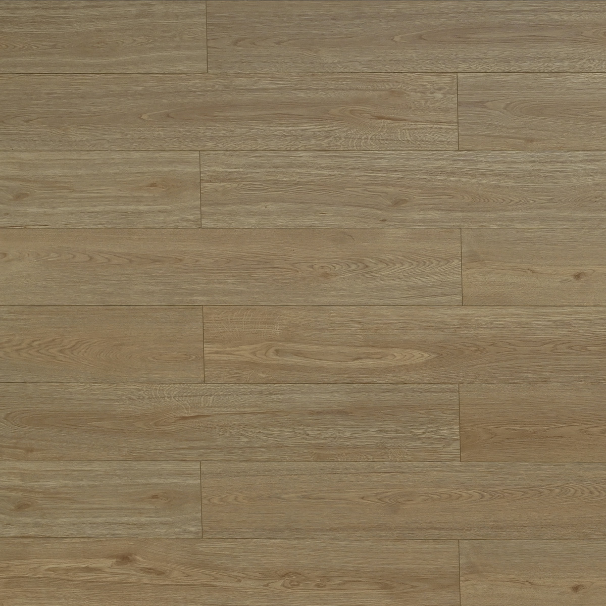 Toucan: TF6610 Laminate- Gila