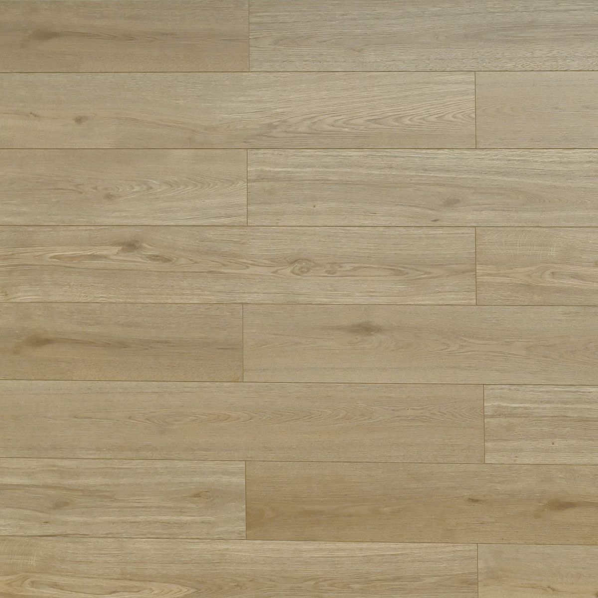 Toucan: TF6612 Laminate- Melrose